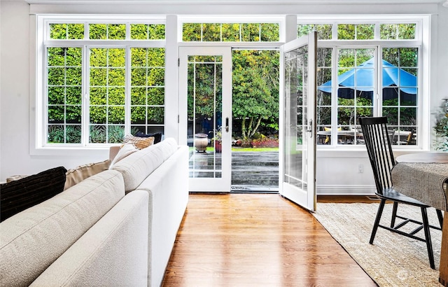 entryway featuring light hardwood / wood-style flooring, a wealth of natural light, and french doors