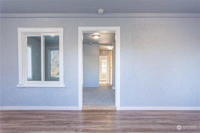 unfurnished room with hardwood / wood-style flooring