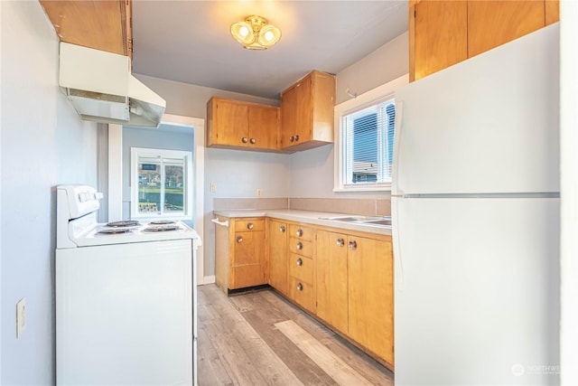 kitchen featuring plenty of natural light, light hardwood / wood-style floors, white appliances, and sink