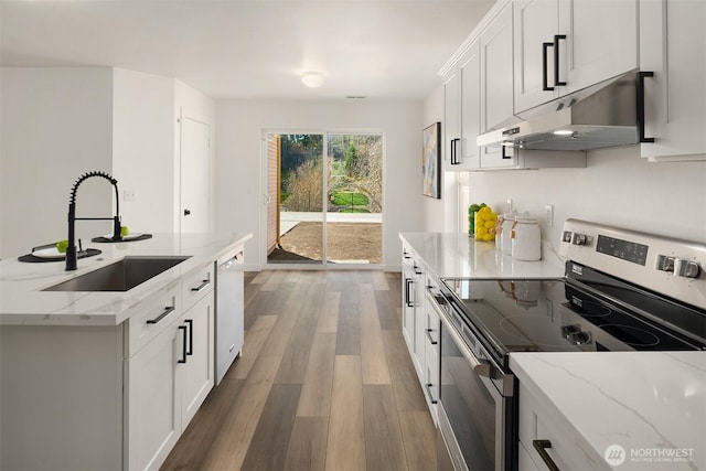 kitchen featuring dishwashing machine, under cabinet range hood, wood finished floors, a sink, and stainless steel range with electric cooktop