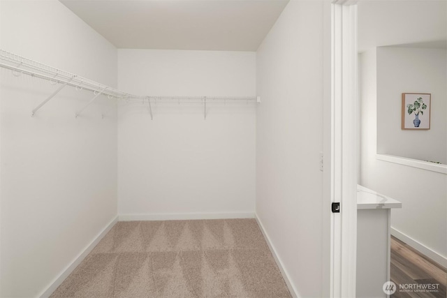 walk in closet featuring carpet