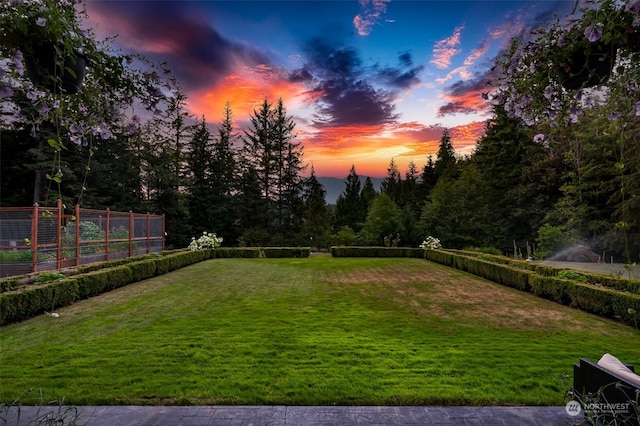 view of yard at dusk