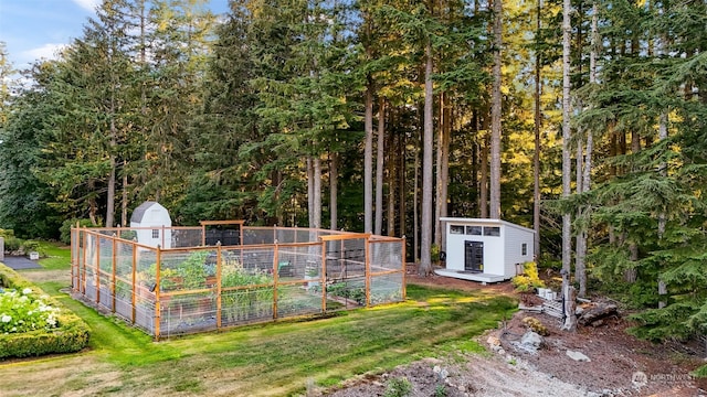 view of yard with a storage shed