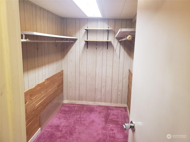 walk in closet with carpet