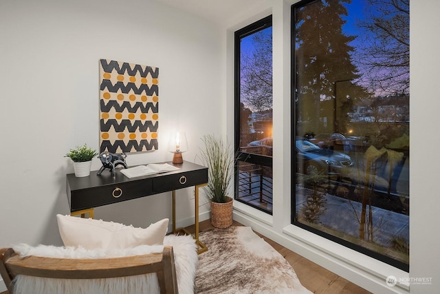 sitting room featuring floor to ceiling windows and hardwood / wood-style floors