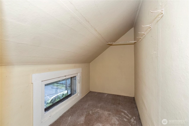 additional living space with vaulted ceiling and carpet