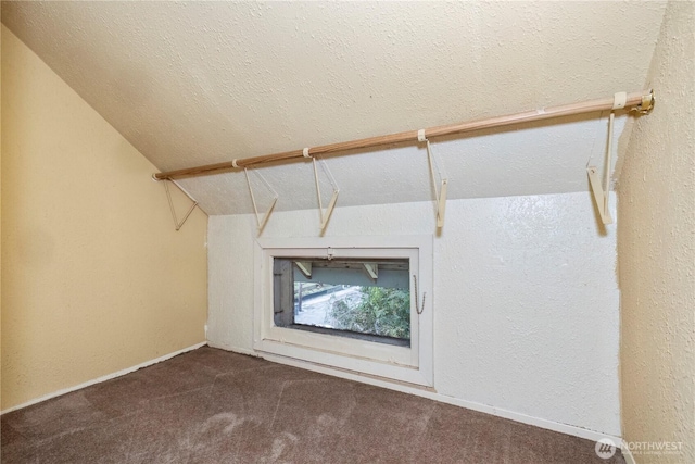 spacious closet with lofted ceiling and carpet flooring