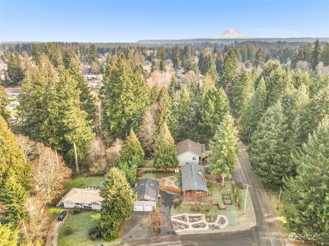 birds eye view of property featuring a mountain view