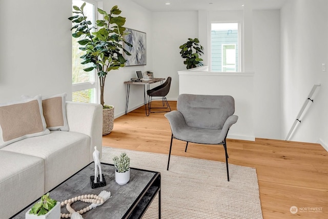 living room featuring hardwood / wood-style flooring