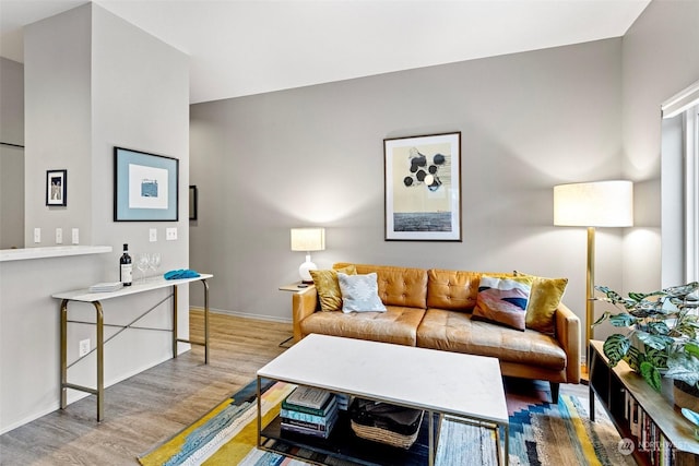 living room with hardwood / wood-style flooring