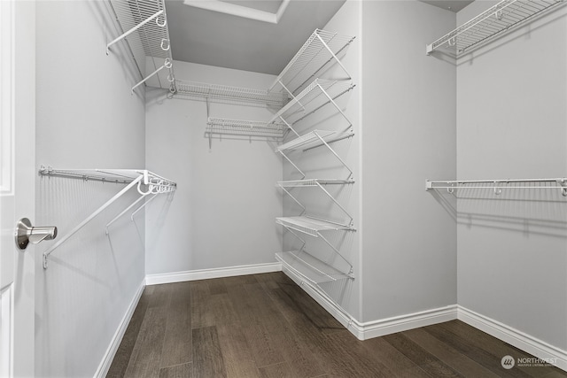 spacious closet featuring hardwood / wood-style floors