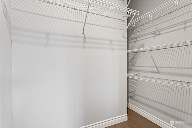 walk in closet featuring dark wood-type flooring