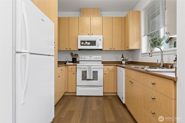 kitchen featuring light brown cabinetry, dark wood finished floors, white appliances, and a sink