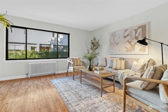 living room with hardwood / wood-style floors and radiator heating unit