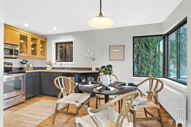 kitchen with appliances with stainless steel finishes, radiator heating unit, decorative light fixtures, sink, and light hardwood / wood-style floors