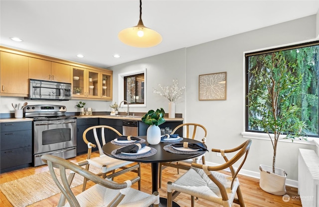 kitchen with sink, decorative light fixtures, appliances with stainless steel finishes, radiator, and light hardwood / wood-style floors