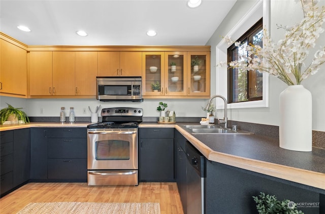 kitchen featuring sink, light wood-type flooring, and appliances with stainless steel finishes