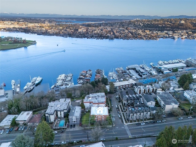 aerial view with a water view