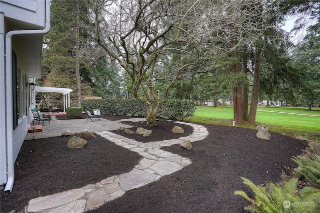 view of yard featuring a patio and a pergola