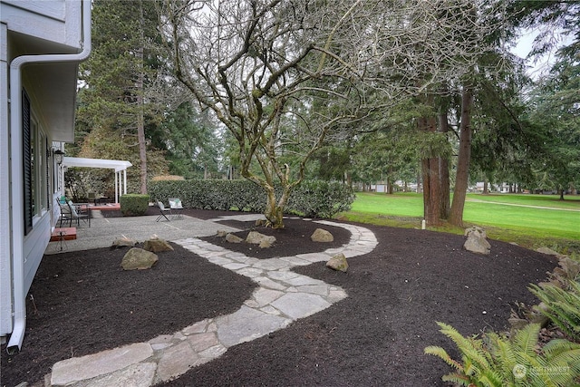 32520 30th Ave SW, Federal Way, WA 98023 - photo 36