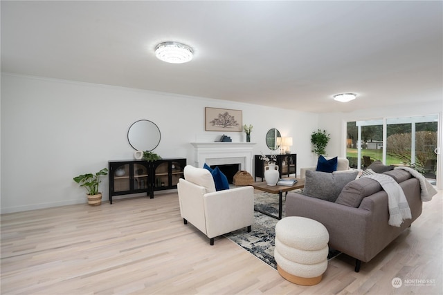 living room with light hardwood / wood-style floors