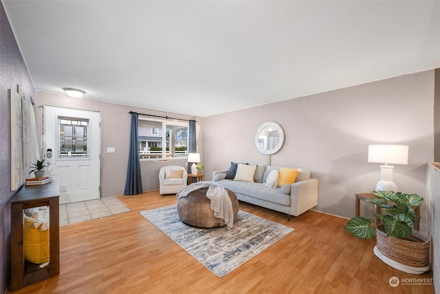 living room with light wood-type flooring