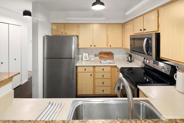 kitchen with dark wood-type flooring, light brown cabinets, and stainless steel appliances