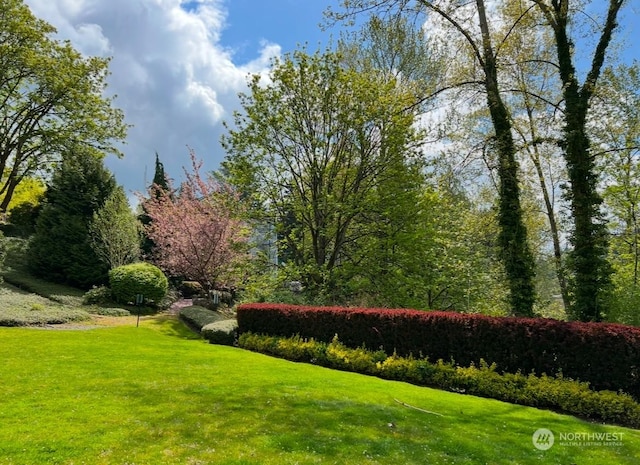 view of property's community featuring a yard