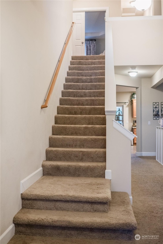 staircase with carpet floors