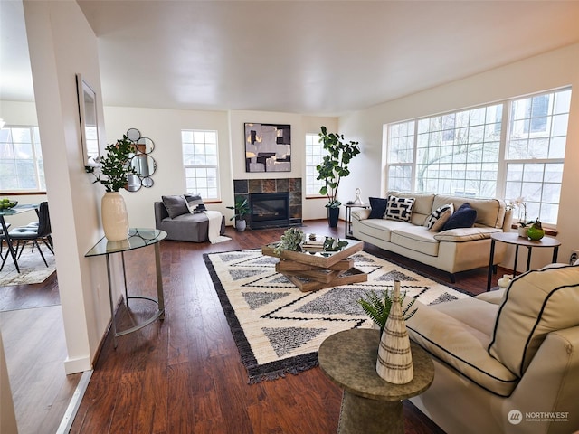 living room featuring a fireplace and dark wood-type flooring