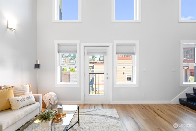 interior space featuring a high ceiling and light wood-type flooring