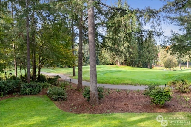 13204 Bracken Fern Dr NW, Gig Harbor, WA 98332 - photo 17