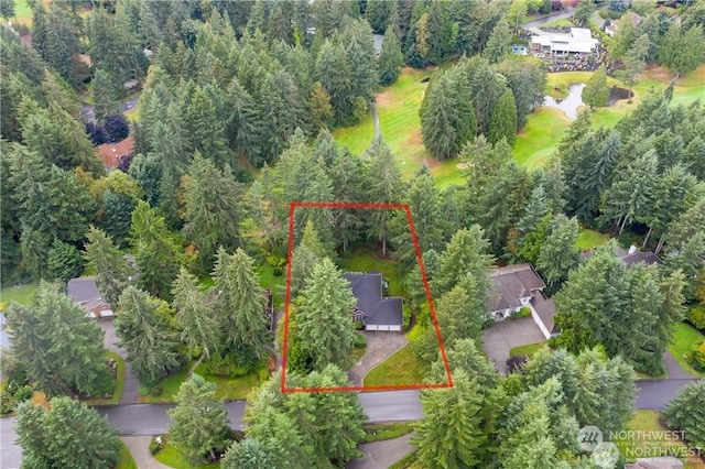13204 Bracken Fern Dr NW, Gig Harbor, WA 98332 - photo 20