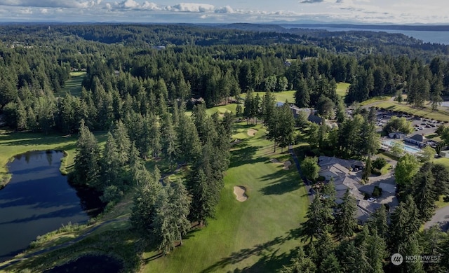13204 Bracken Fern Dr NW, Gig Harbor, WA 98332 - photo 23