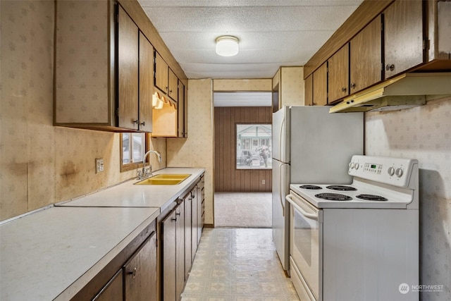 kitchen featuring white electric range oven, wooden walls, and sink