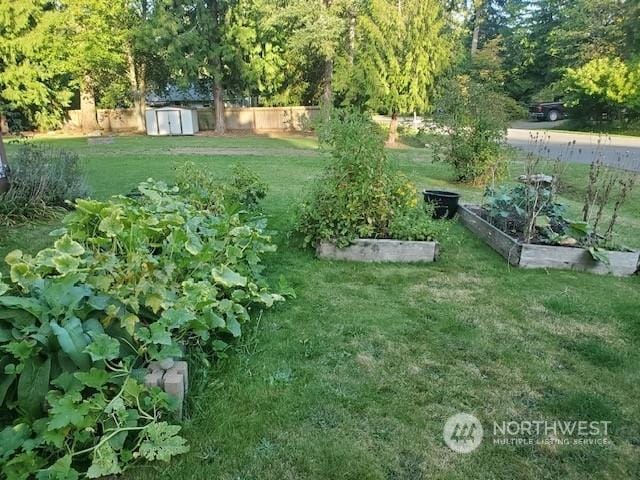 view of yard featuring a storage shed