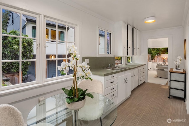 kitchen with sink, ornamental molding, and white cabinetry