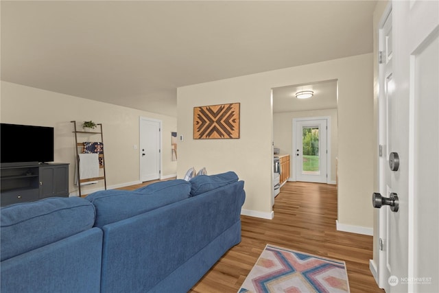 living room with wood-type flooring