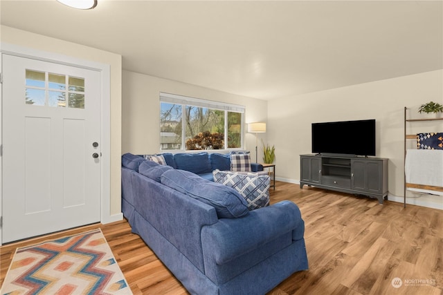 living room with hardwood / wood-style flooring