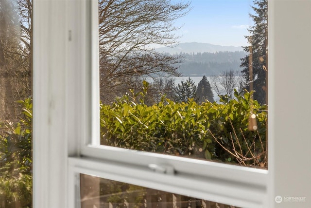 room details with a mountain view