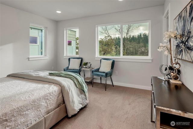 bedroom with carpet floors