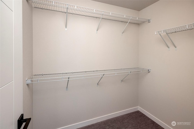 walk in closet featuring dark colored carpet