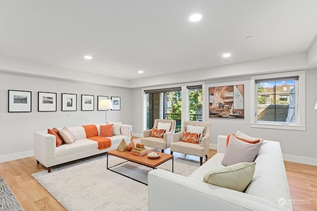 living room with light wood-type flooring