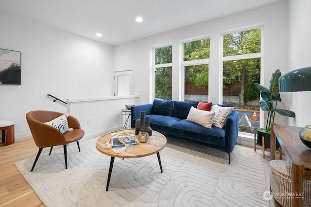 living room with light hardwood / wood-style floors