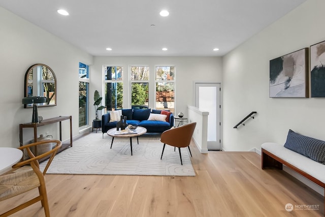 living room featuring light hardwood / wood-style flooring