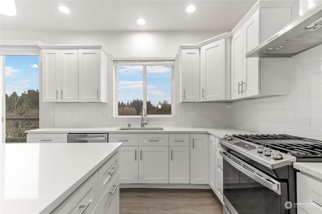 kitchen with sink, stainless steel appliances, white cabinets, and wall chimney exhaust hood