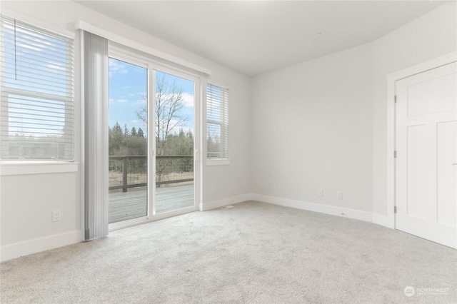 carpeted empty room featuring a wealth of natural light