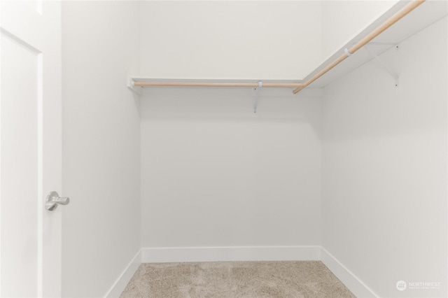 spacious closet with light colored carpet