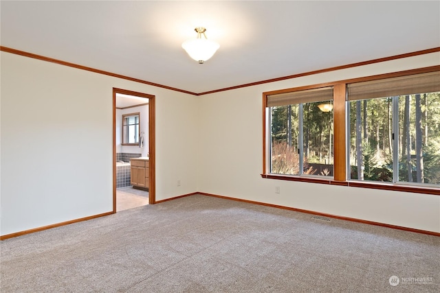 unfurnished room featuring crown molding and light carpet