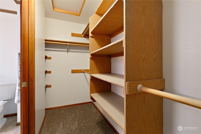 spacious closet with carpet